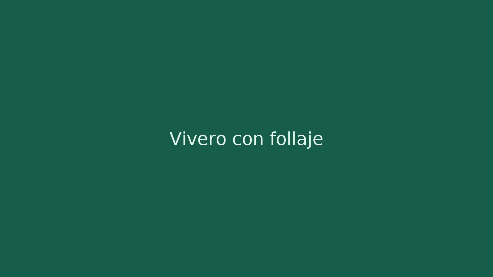 Vivero con follaje